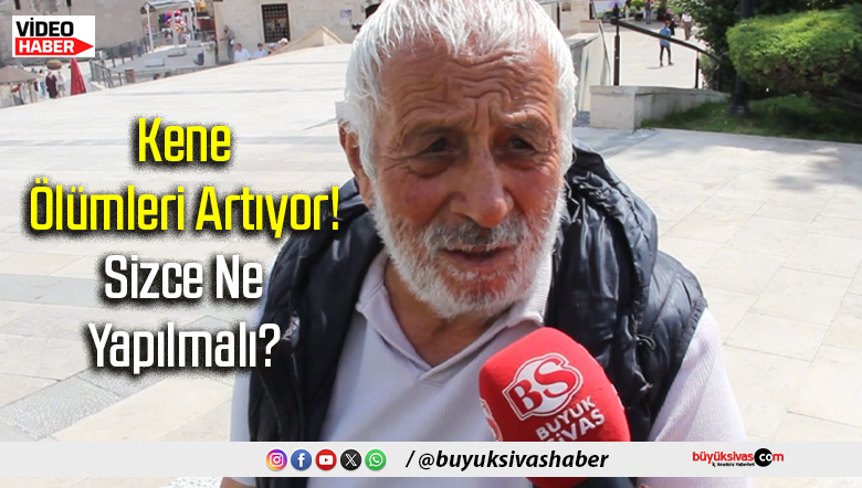 Kene Ölümleri Artıyor