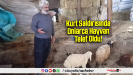 Kurt Saldırısında