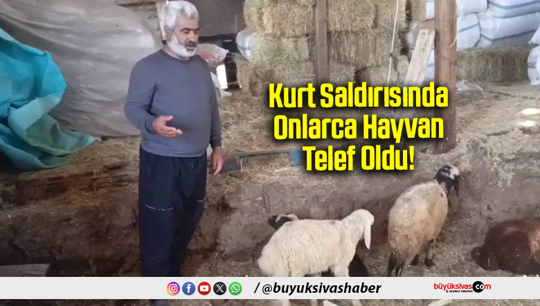 Kurt Saldırısında