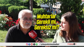 Muhtarlar Gerekli mi