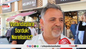 Nerelisiniz?