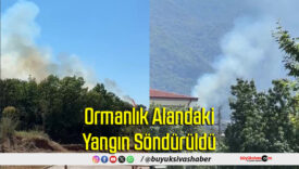 Ormanlık Alandaki