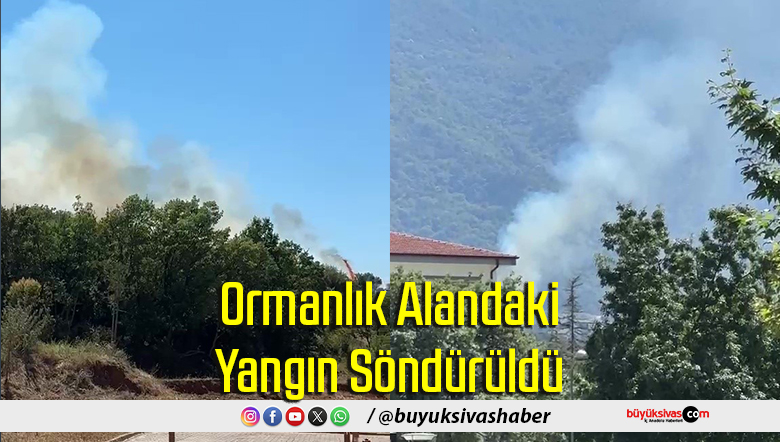 Ormanlık Alandaki