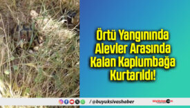 Örtü Yangınında