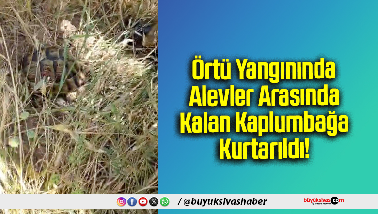 Örtü Yangınında