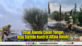 Otluk Alanda