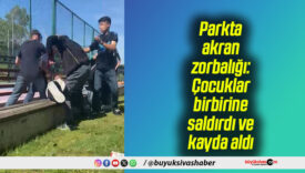 Parkta akran zorbalığı