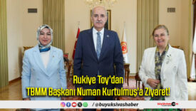 Rukiye Toy'dan