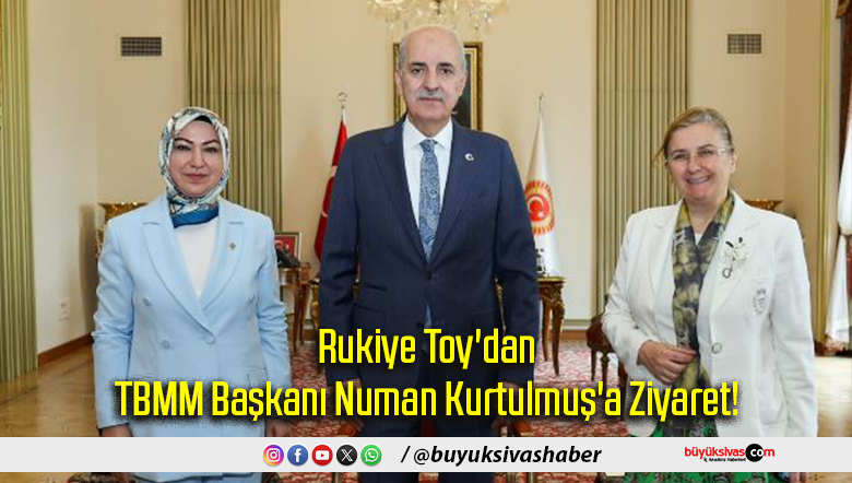 Rukiye Toy'dan
