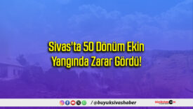 Sivas'ta 50 Dönüm