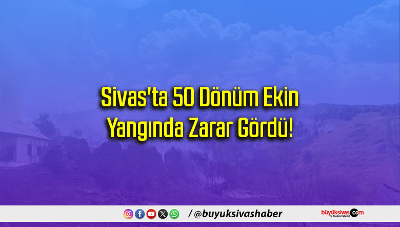 Sivas'ta 50 Dönüm