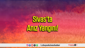 Sivas'ta Anız