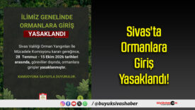 Sivas'ta Ormanlara