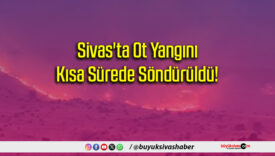Sivas'ta Ot Yangını