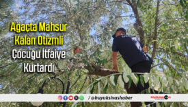 ağaçta mahsur kalan