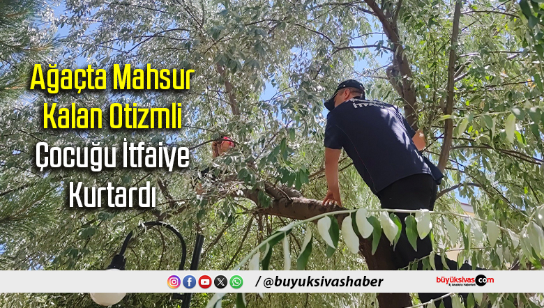 ağaçta mahsur kalan