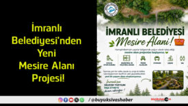 alanı
