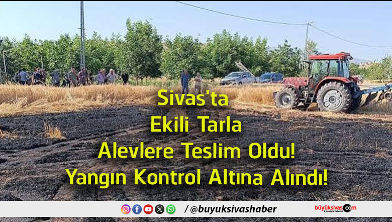 alındı