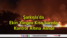 altına