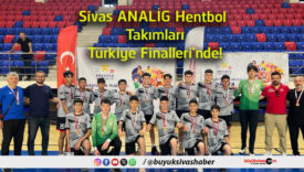 analig