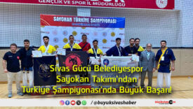 başarı