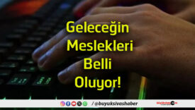 belli