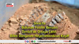 bilim
