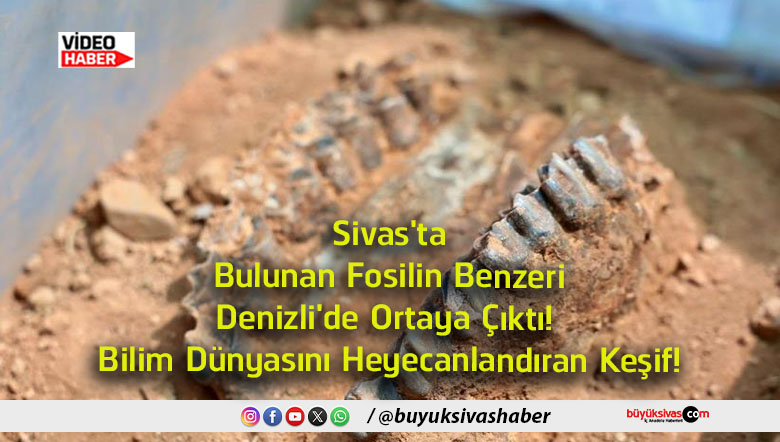bilim