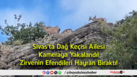 bıraktı