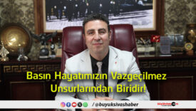biridir