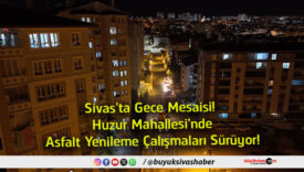 çalışmalar