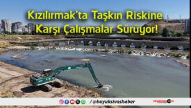 çalışmaları