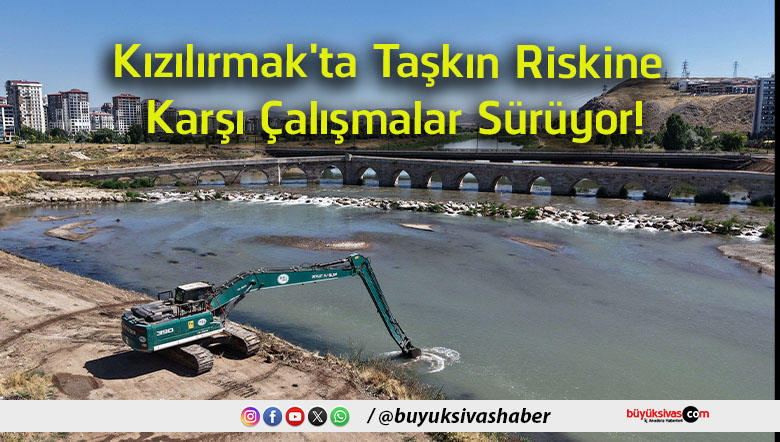 çalışmaları