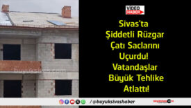 çatı