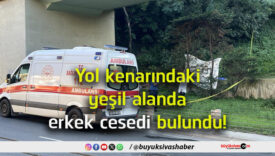 cesedi