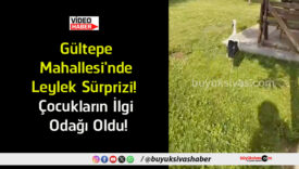 çocukların