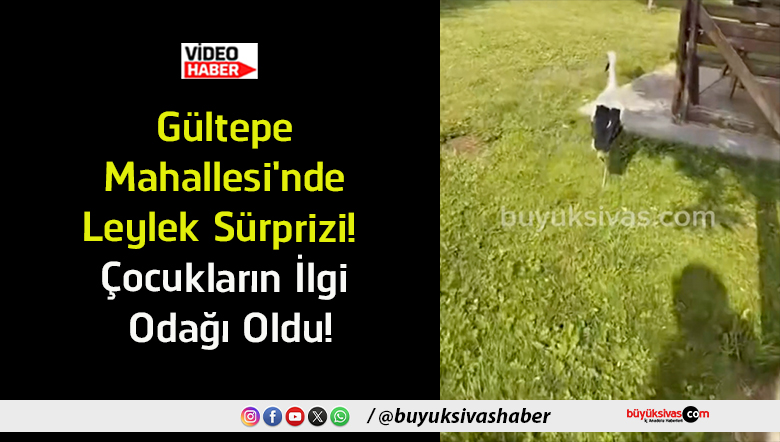 çocukların