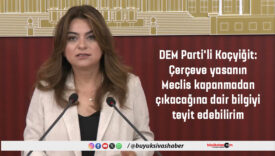 dem partili