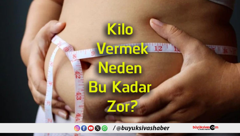 demek