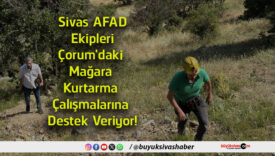 destek
