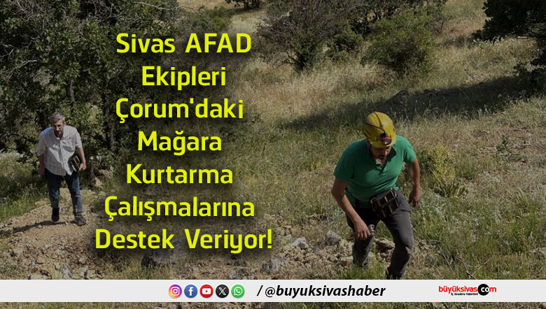 destek