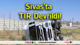 devfrildi