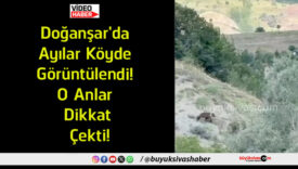 dikkat çekti