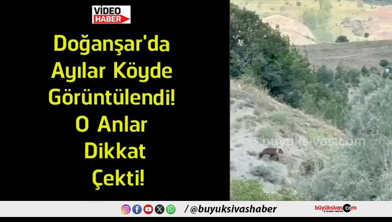 dikkat çekti