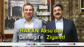 dilek