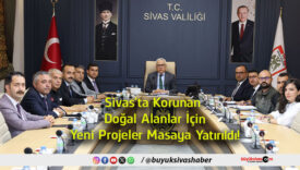 doğal