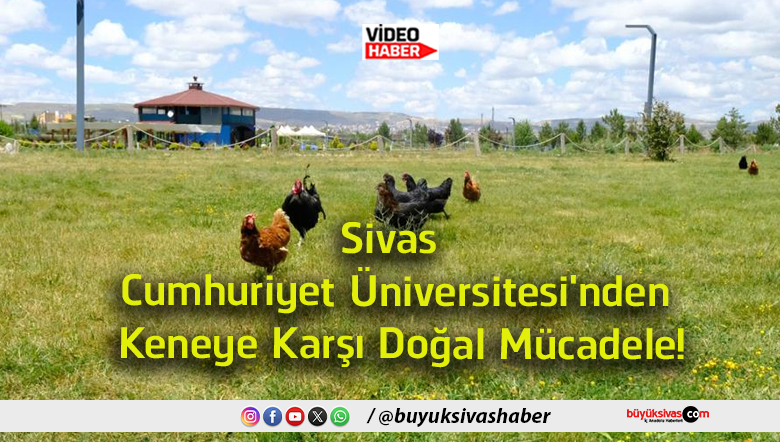 doğal