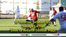 dostluk