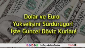 döviz