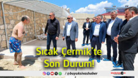 durum
